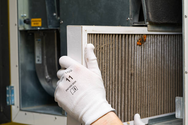 Best Air Duct Cleaning Near Me  in Stockton, IL