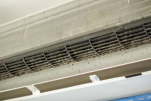 Best Emergency Air Duct Cleaning  in Stockton, IL